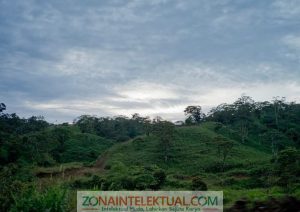 Hari Bumi