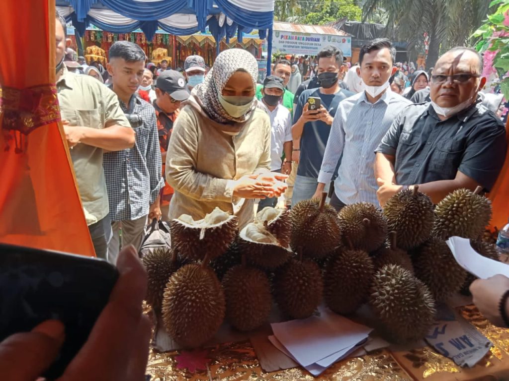 Panen Durian Panen Durian