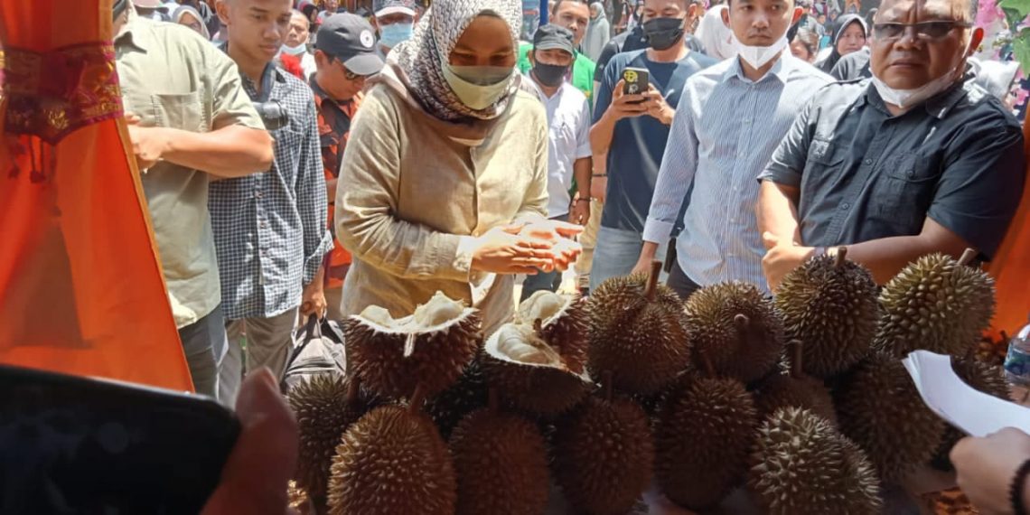 Panen Durian