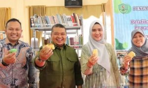 Tapanuli Selatan
