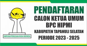 Calon Ketua Umum HIPMI