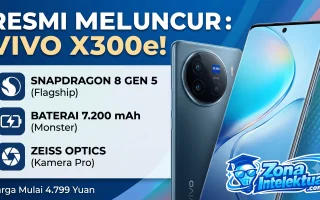 vivo x300e